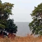 बारसूर नवोदय में 6 वीं के छात्र ने फांसी लगा ली।