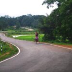 पीएमजीएसवाई ने बदली ग्रामीण बस्तर की तस्वीर